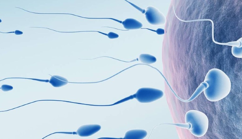 El reloj biológico también corre para ellos: cómo afecta la edad a la fertilidad masculina