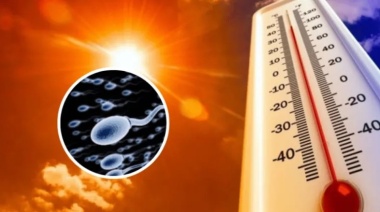 Se comprobó que las olas de calor reducen la fertilidad masculina